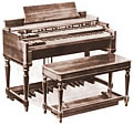 Primer modelo de órgano.